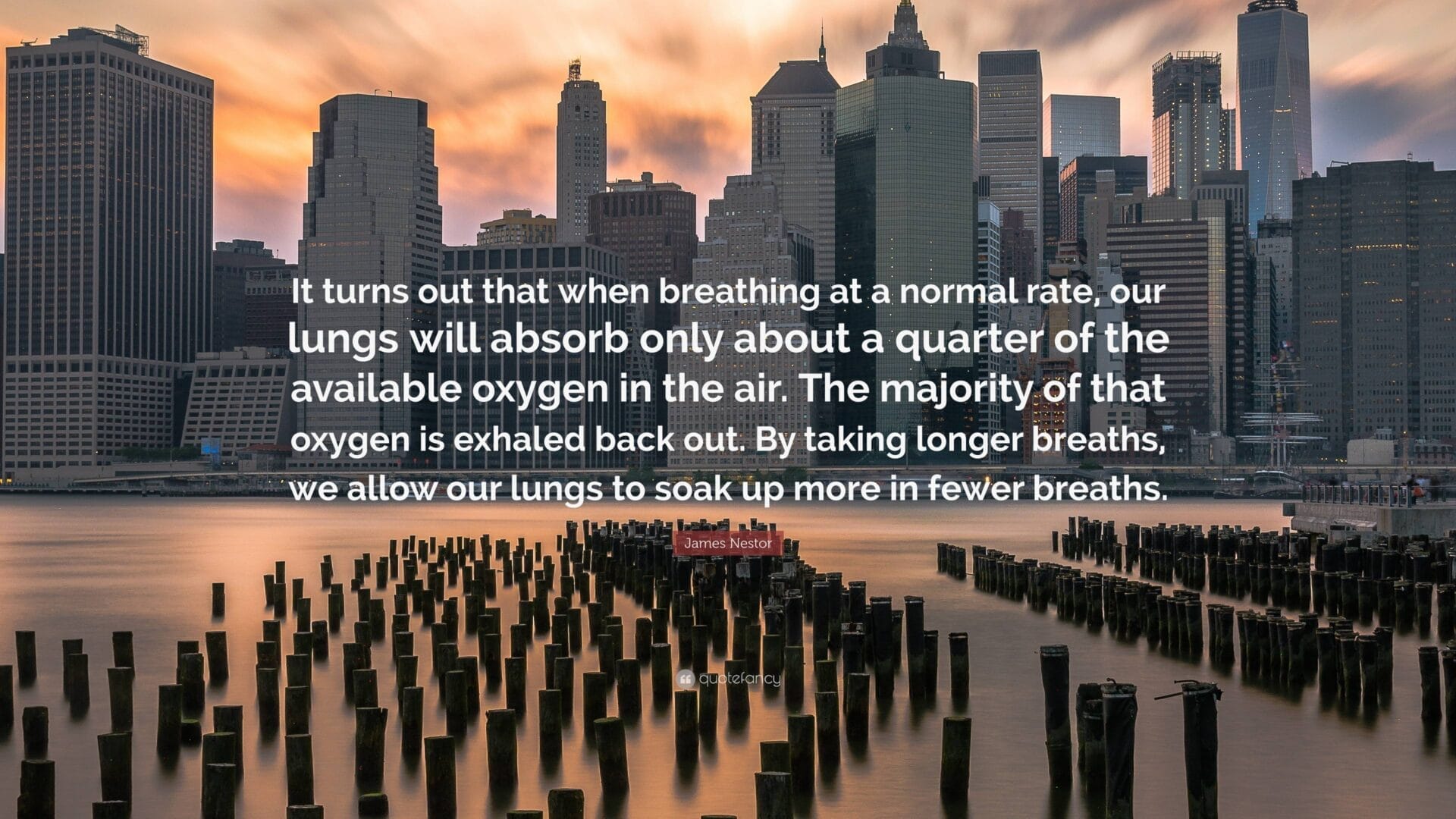 Quote From Breath By James Nestor