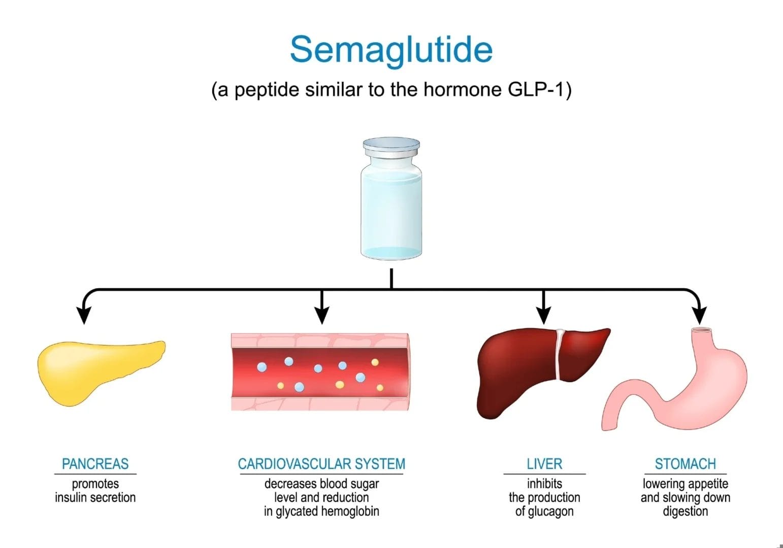 Working Out On Semaglutide